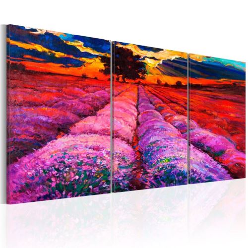 Tableau - Land of Colours .Taille : 60x30