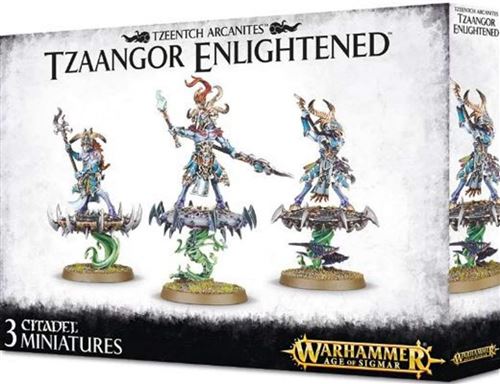 GAMES WORKSHOP  Tzaangor Enlightened