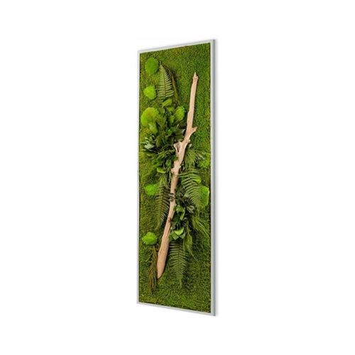 Flowerbox - Tableau végétal stabilisé nature Pano 25 x 115