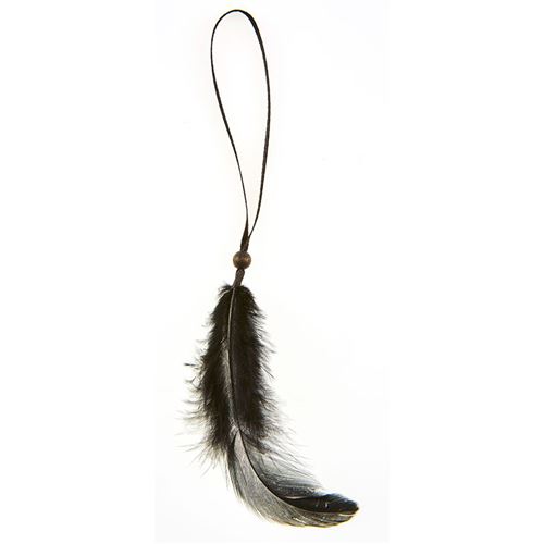 12 plumes avec lien noir 16 cm