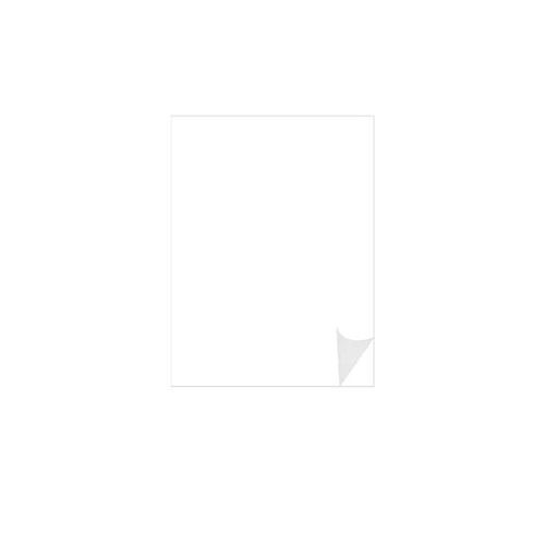 Film adhésif 3M SC50 longue durée Série 50 Blanc Mat SC50-100 100x61cm