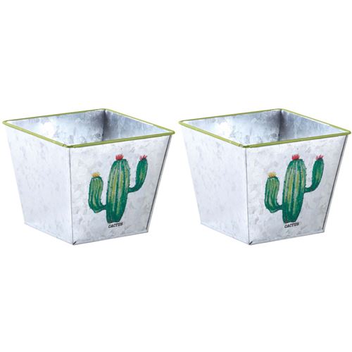 Aubry Gaspard - Corbeille carré en métal galvanisé Cactus (Lot de 2)