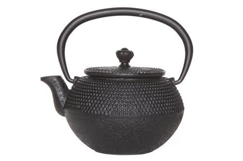 Théière en fonte Cabine Size Takara Black avec Filtre Tsp69 0.35 L Noir