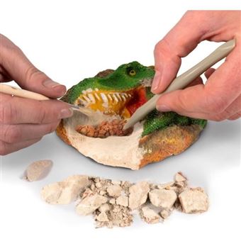 Kit de Fouille National Geographic Fossiles de Dinosaures