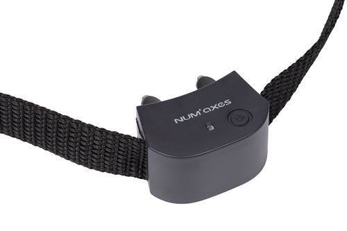 NUM'AXES - Collier seul Canifugue Small