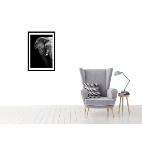 ELEPHANT Affiche encadrée 40x60cm - Eléphant noir & blanc