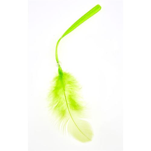 12 plumes avec lien anis 16 cm
