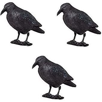 CORVEX ( Répulsif :Corbeau - Pigeon - Taupin - Sanglier)