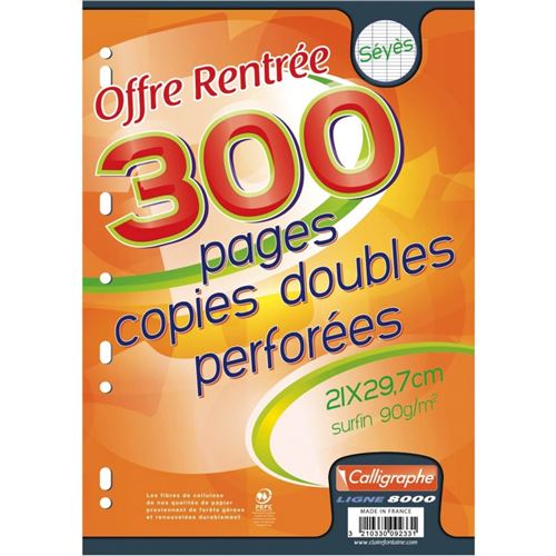 Copie doubles 21x29,7 - grands carreaux - 200pages CARREFOUR : le lot de  200 copies doubles à Prix Carrefour
