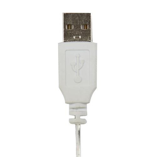 Guirlande USB nomade 15 LED blanc chaud décorations citrons