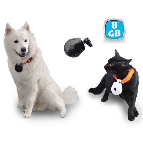 Collier Camera Embarquee 8go Espion Chat Chien Usb Micro Sd Lcd Mini Video Cache Yonis Colliers Harnais Et Laisses Petits Animaux Achat Prix Fnac