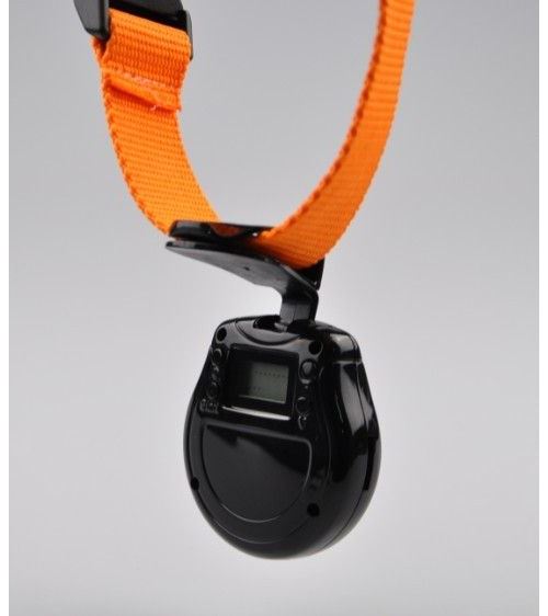 Collier Camera Embarquee 8go Espion Chat Chien Usb Micro Sd Lcd Mini Video Cache Yonis Colliers Harnais Et Laisses Petits Animaux Achat Prix Fnac