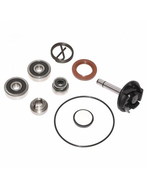 Kit reparation pompe a eau maxiscooter adaptable piaggio 250 beverly 2004+2005 (kit) -p2r-