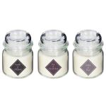 Lot de 3 Bougies Parfumées Trio 80g Boisé