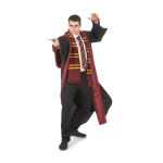 Tenue harry potter gryffondor cheap