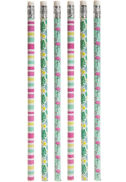 PMS crayons flamants flamands multicolores 6 pièces