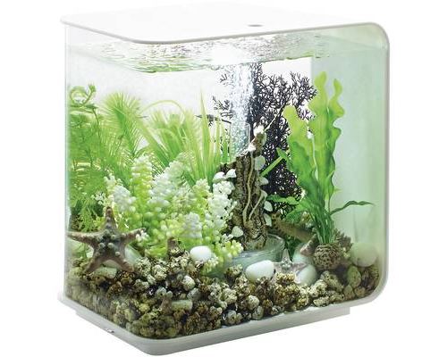 Meilleurs prix pour Aquarium 15 l Oase 72030 avec éclairage LED