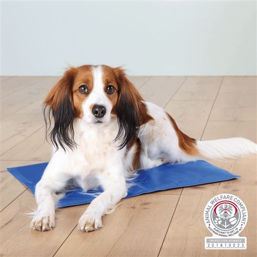 trixie matelas rafraîchissant - 40x30cm - bleu - pour chien