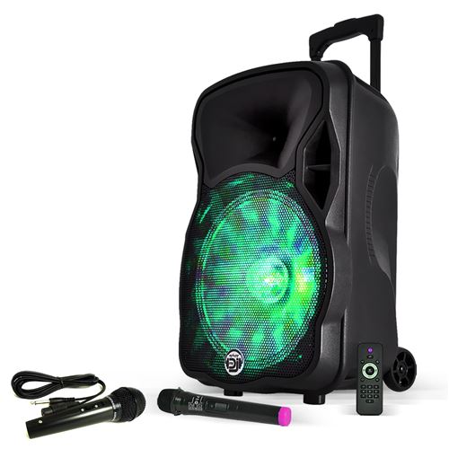 PACK SONO 600W DJ KARAOKE BLUETOOTH USB CABLE PC 2 JEUX DE LUMIERE LED AMPLI 2 MICROS 2 ENCEINTES 2X300W 
