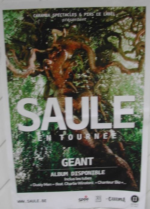 Saule - 40x60 cm - AFFICHE / POSTER