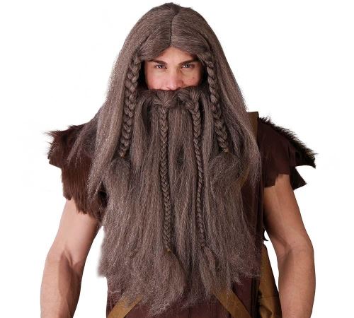 Perruque et barbe Viking