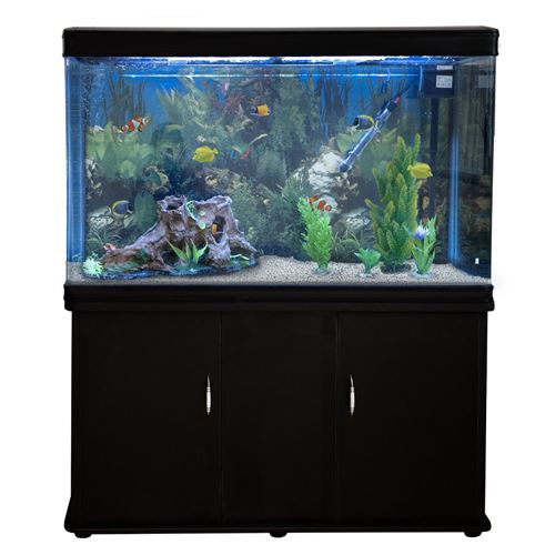 Aquarium &agrave; bords Noir avec Kit de D&eacute;marrage et Meuble de support Noir 