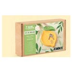 kit jesmonite vide poches citron