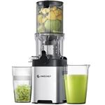 Extracteur de Jus Vertical 113mm à Mastication Lente pour Fruits et Légumes Entiers-Argent