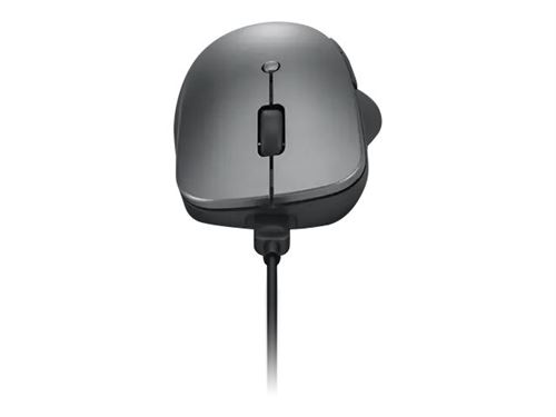 Souris Lenovo ThinkBook Wireless Media - Souris - ergonomique