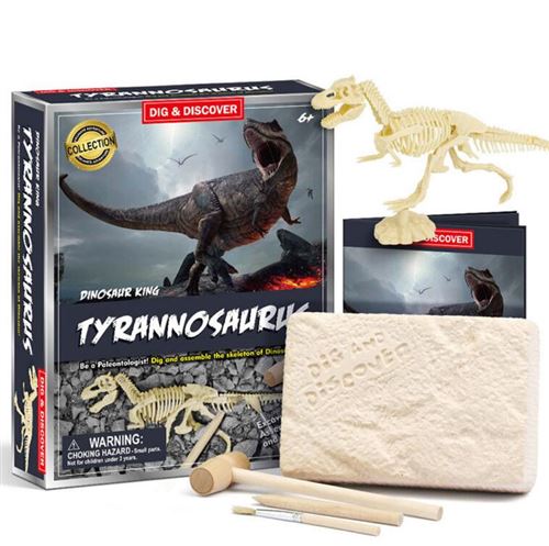 Dinosaur Dig Kit Stegosaurus Tyrannosaurus Jouet,Qumox Dino Skeleton Fossil Excavation Kit Réaliste Dinosaure Modèle Jouets Éducatifs Cadeau pr Enfants Garçons Filles