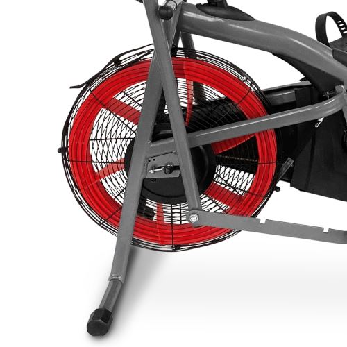 Fitfiu Beli 150 2025