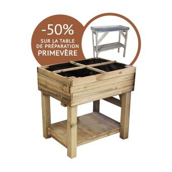 Kit Potager Sur Pied Table De Preparation Primevere Jardinieres Et Bacs Achat Prix Fnac