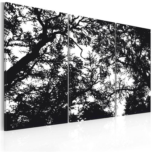 Artgeist - Tableau - Forêt dense 60x40