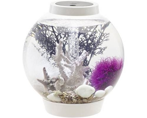 Meilleurs prix pour Aquarium 15 l Oase 72001 avec éclairage LED