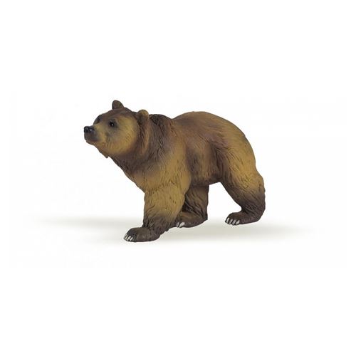 Ours des pyrénées