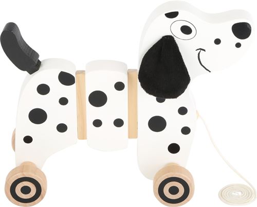 Dalmatien À Tirer