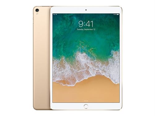 Apple 10.5-inch iPad Pro Wi-Fi - 1ère génération - tablette - 256