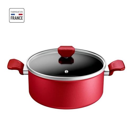 Non Communiqué Rouge Tefal Faitout 24 Cm, Induction, Revetement Antiadhésif, Couvercle Verre, Ergonomique, Fabriqué En France, Daily Expert C2894602