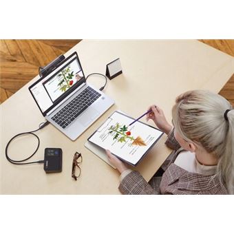 Avermedia pw313d dualcam