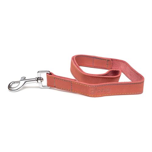 Comparer les prix de Laisse pour Chien Gloria Oasis 2.1 100 cm Rose