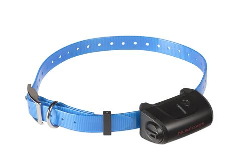 NUM'AXES -Collier seul Canicom 5 sangle bleue