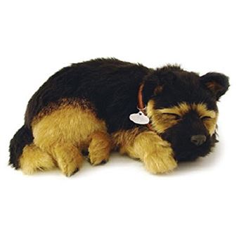 Perfect petzzz chien clearance