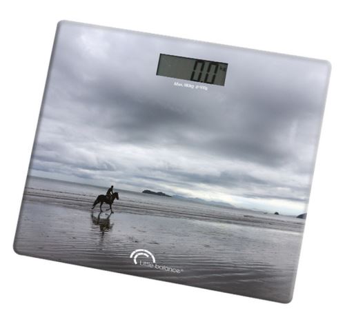 Pèse-personne électronique 180kg/100g gris - 8155 - LITTLE BALANCE