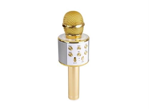 Max KM01 Micro de karaoké 2-en-1 : enceinte Bluetooth & lecteur multimédia - Or