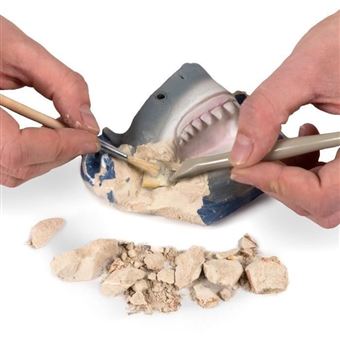 Kit de Fouille National Geographic Dents de Requin