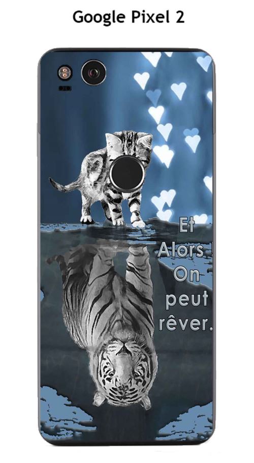 Coque Google Pixel 2 design Chat Tigre Blanc fond bleu noir Et Alors !