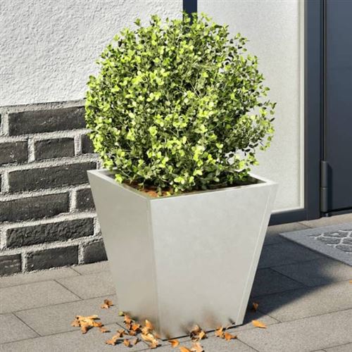 vidaXL Jardinières 2 pcs 30x30x30 cm acier inoxydable, jardinière d'extérieur, boîte à fleurs, boîte de jardin, jardinière 851047