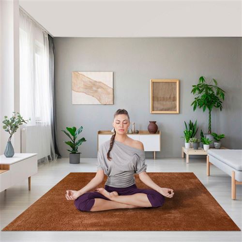 Tapis de salon antistatique sans stress conception moderne Milano AVA101, Taille: 80 x 150