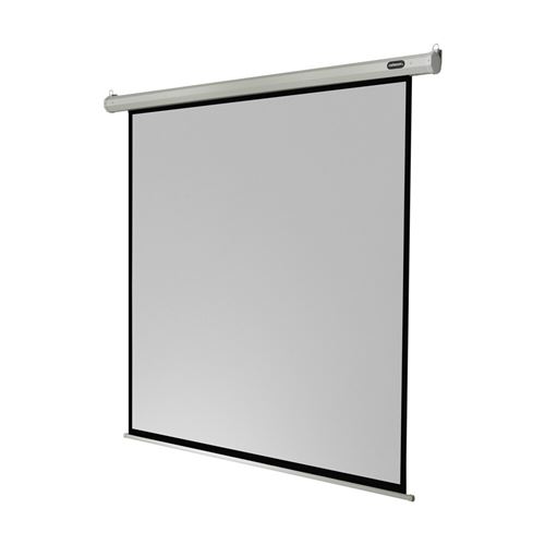 Celexon Economy electric screen - Écran de projection - montable au plafond, montable sur mur - motorisé - 122 (311 cm) - 1:1