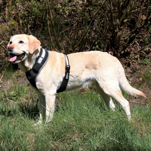 Trixie - Harnais USB lumineux pour chien (L) (Noir) - UTTX421
